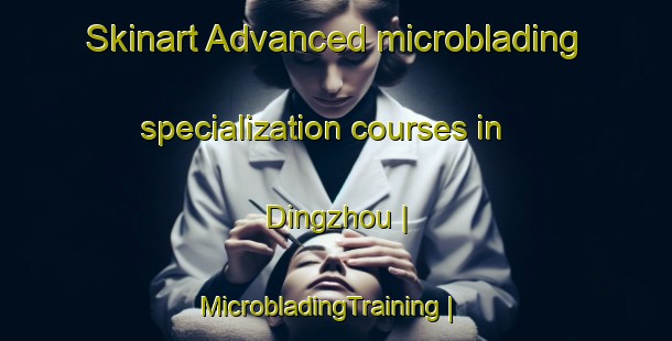 Skinart Advanced microblading specialization courses in Dingzhou | MicrobladingTraining | MicrobladingClasses | SkinartTraining-Taiwan Province of China